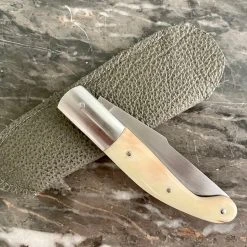 Baillon Julien Yatagan Phacochère