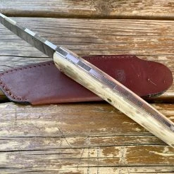 Beillonnet Robert Thiers Mammouth