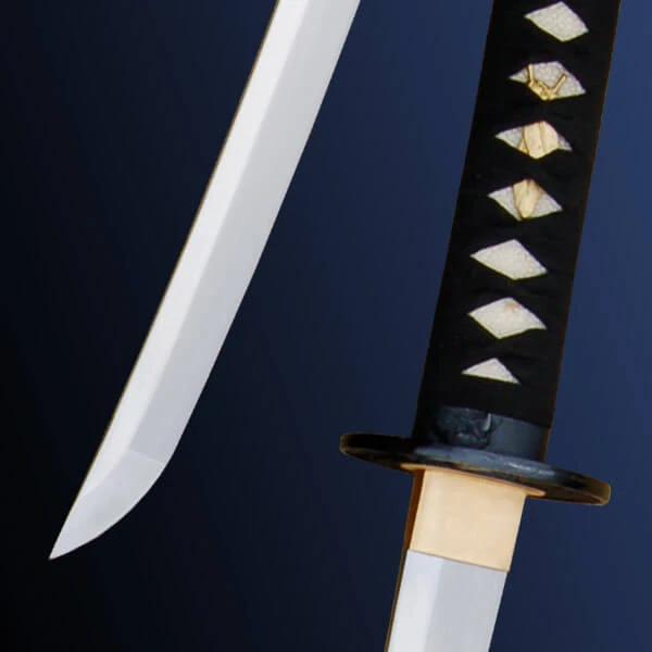 CAS Hanwei Katana Raptor Shinogi Zukuri 5 CAS Hanwei Katana Raptor Shinogi Zukuri – Image 3