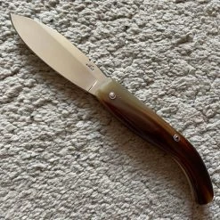 Nino Modèle Maremmano