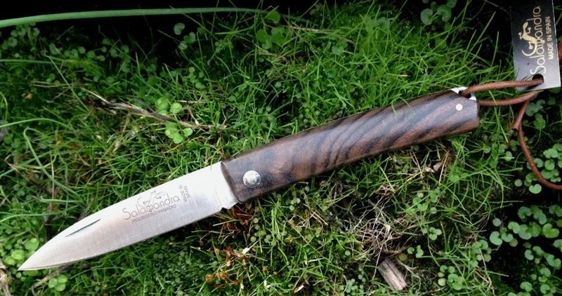 Salamandra Ziricote 3 Salamandra Ziricote