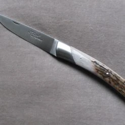 Thiers Chambriard Compagnon Bois Cerf