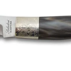 Saladini Fiorentino Corne