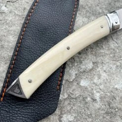 Voissière Philippe Thiers Fruit Défendu